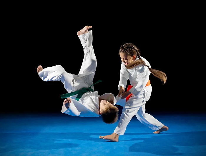 Photo Judo Enfants